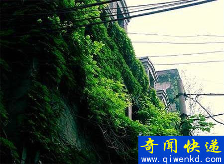 保证让你看了脊骨发凉...世界五大最恐怖鬼屋!