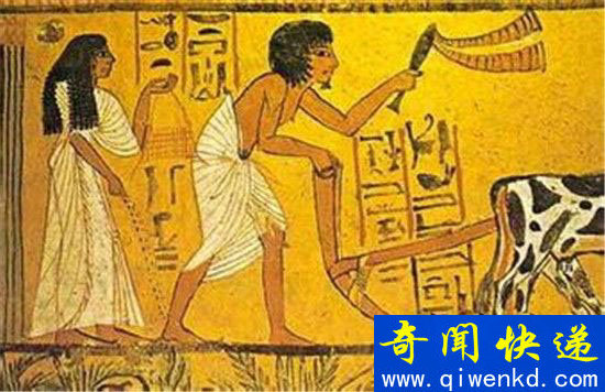 古埃及五大科学成就 至今仍影响着我们