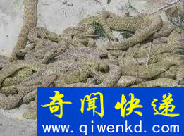 慎点!世界历史上最可怕的15种处死方式