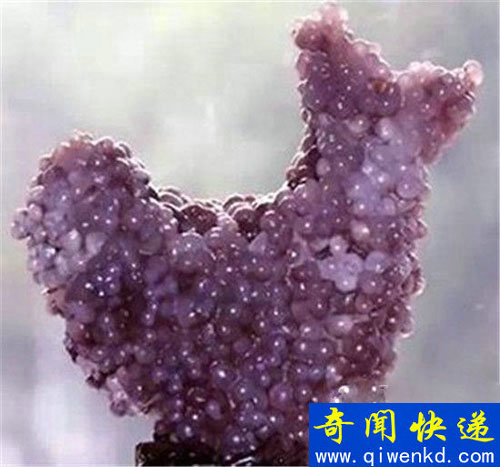 震惊全球!世界十大最诡异人脸石头大曝光