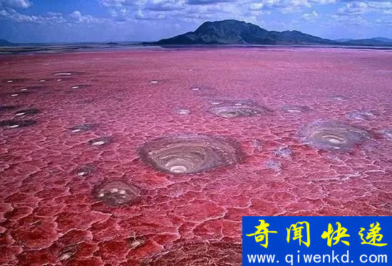 全球最不像地球的惊人景观到底是怎么回事,全球最不像地球的惊人景观是真的吗,全球最不像地球的惊人景观图片,全球最不像地球的惊人景观视频