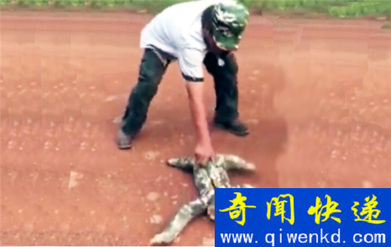 水鬼真身竟是树懒?水鬼骇人真相曝光