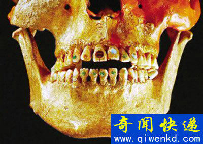 镶满宝石的史前牙齿