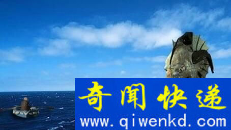 考古发现十四世纪毒戒指 是刺杀投毒神秘利器