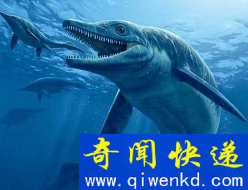 考古发现十四世纪毒戒指 是刺杀投毒神秘利器