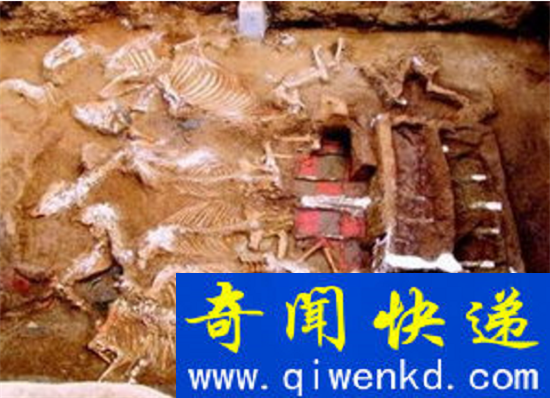 秦始皇活人殉葬均为女性:99座女性陪葬坑