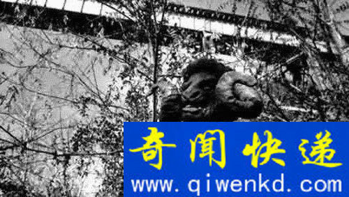 世界上竟有这些生物 全球10大恐怖存在