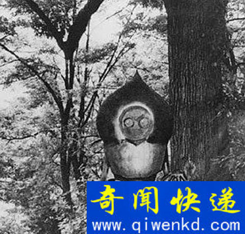 世界上竟有这些生物 全球10大恐怖存在