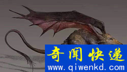 世界上竟有这些生物 全球10大恐怖存在