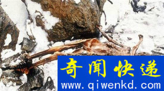 世界六大诅咒杀人事件 千年古尸虐杀考古人员