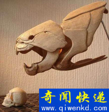 史前巨鱼
