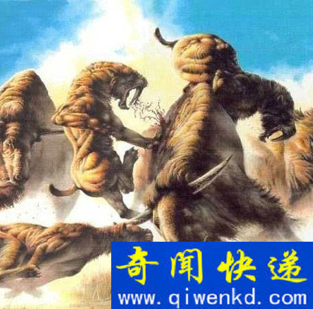 剑齿虎