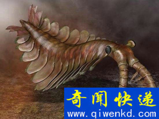 恐龙没有诞生之前 他们是世界的真正霸主!