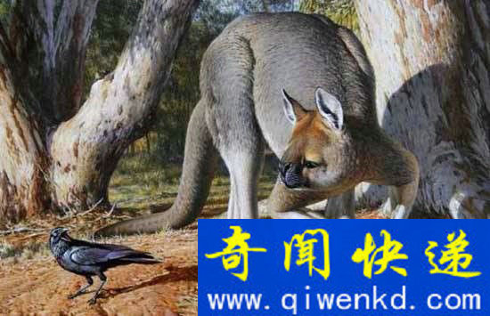 恐龙没有诞生之前 他们是世界的真正霸主!