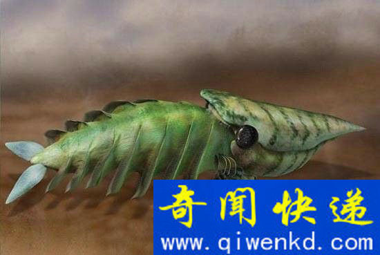 恐龙没有诞生之前 他们是世界的真正霸主!