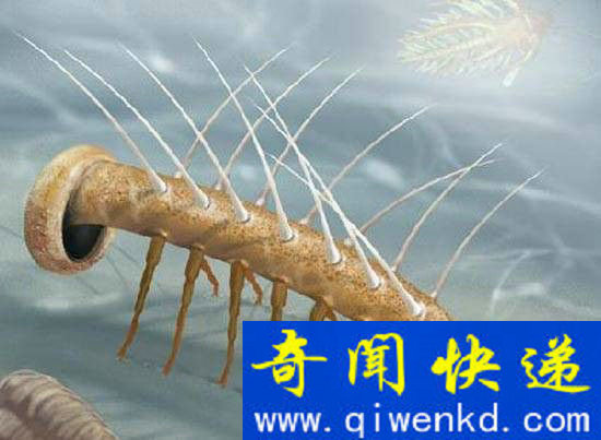 恐龙没有诞生之前 他们是世界的真正霸主!