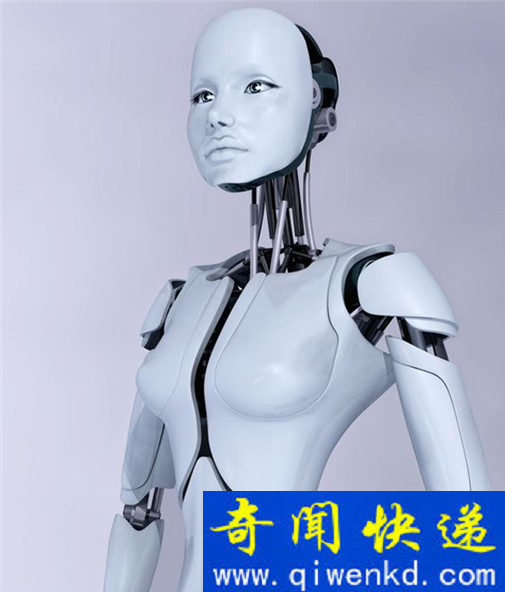 “机器人妓院”将诞生?2050年荷兰开业