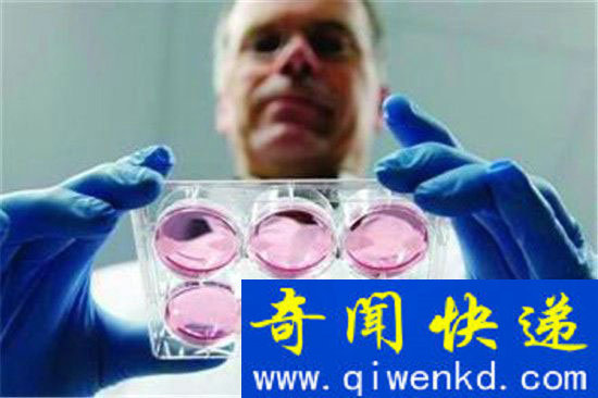 科学家预言:未来人造肉将成为主流