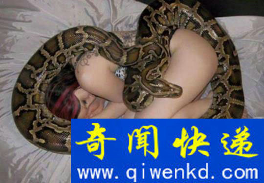 蟒蛇每晚缠着主人睡觉