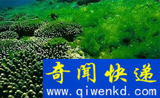 未来将改变人类思维的奇特病毒 出现了!