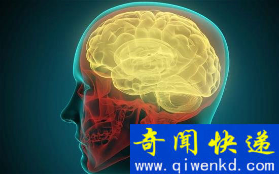 或许在不远的将来,我们就可以破解大脑的工作方式