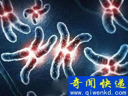 灵魂重叠?人类体内并非一人