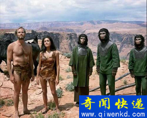 探秘神农架野人之谜:闹剧真相震惊世界