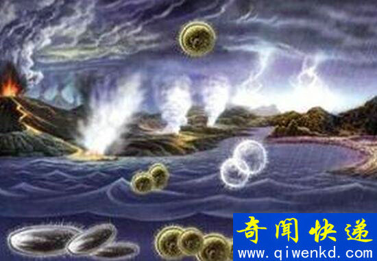 生命的起源是什么,落雷是生命的起源吗