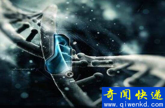 生命的起源是什么,落雷是生命的起源吗