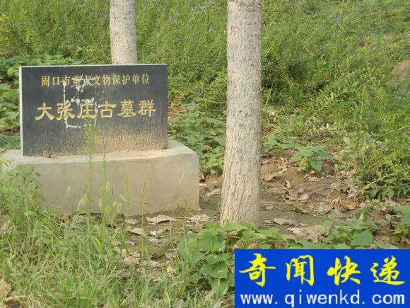 汉高祖刘邦九世孙刘伯姬 宁平公主刘伯姬一生的贡献