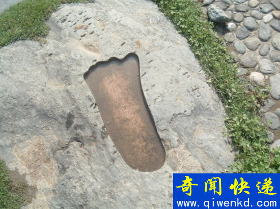 探索神农架野人之谜,神秘野人疑为野外棕熊