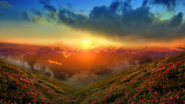 t01755c8d62f0fbd89a.jpg?size=615x409