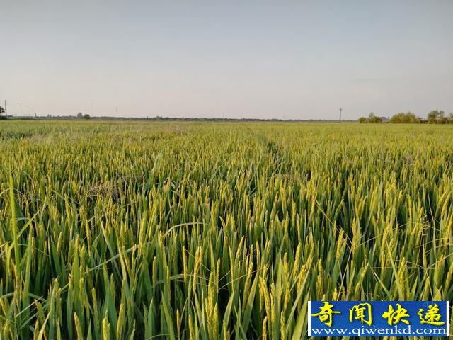 考古发现