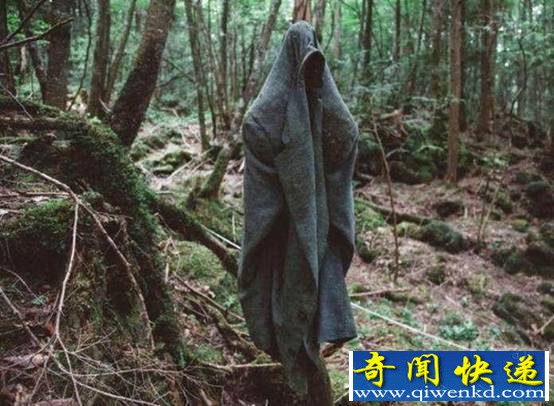 人类禁区