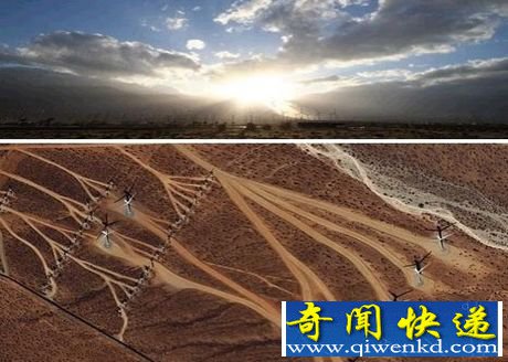 世界奇闻怪事图片