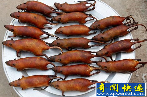 有福建烤老鼠这道菜吗
