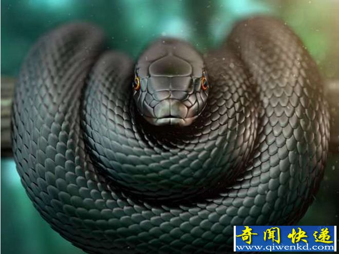 什么动物最吓人