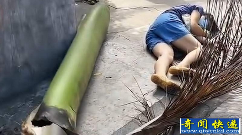 路人被椰子树叶砸倒颅内积血