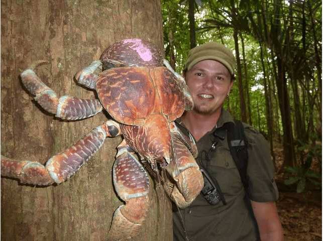 14大恐怖生物