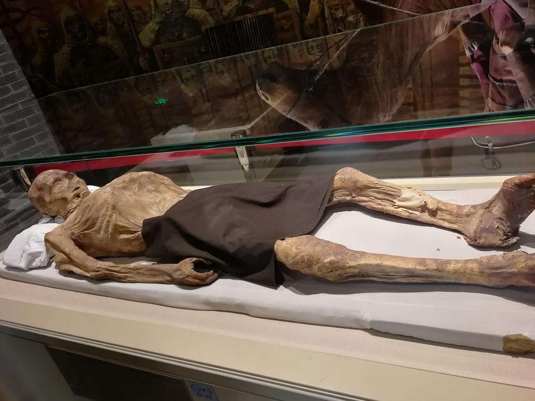 泰国干尸博物馆都是什么人