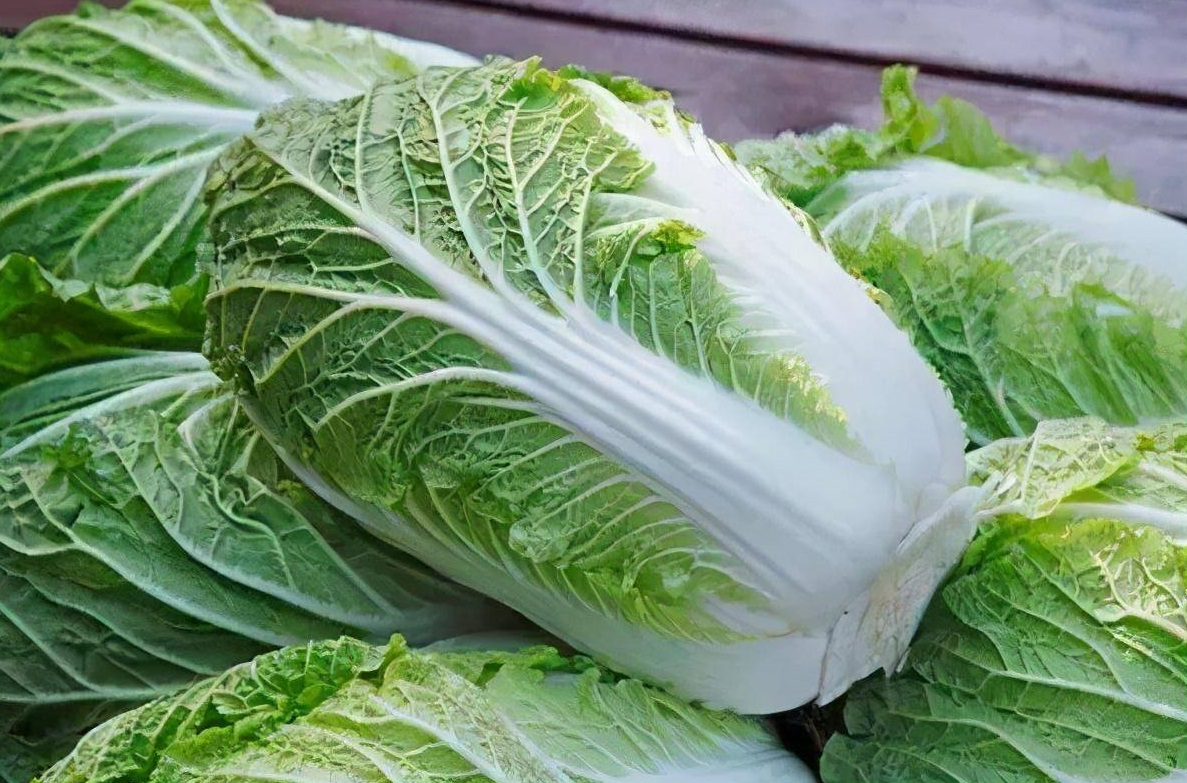 白菜涨价韩大幅进口中国泡菜
