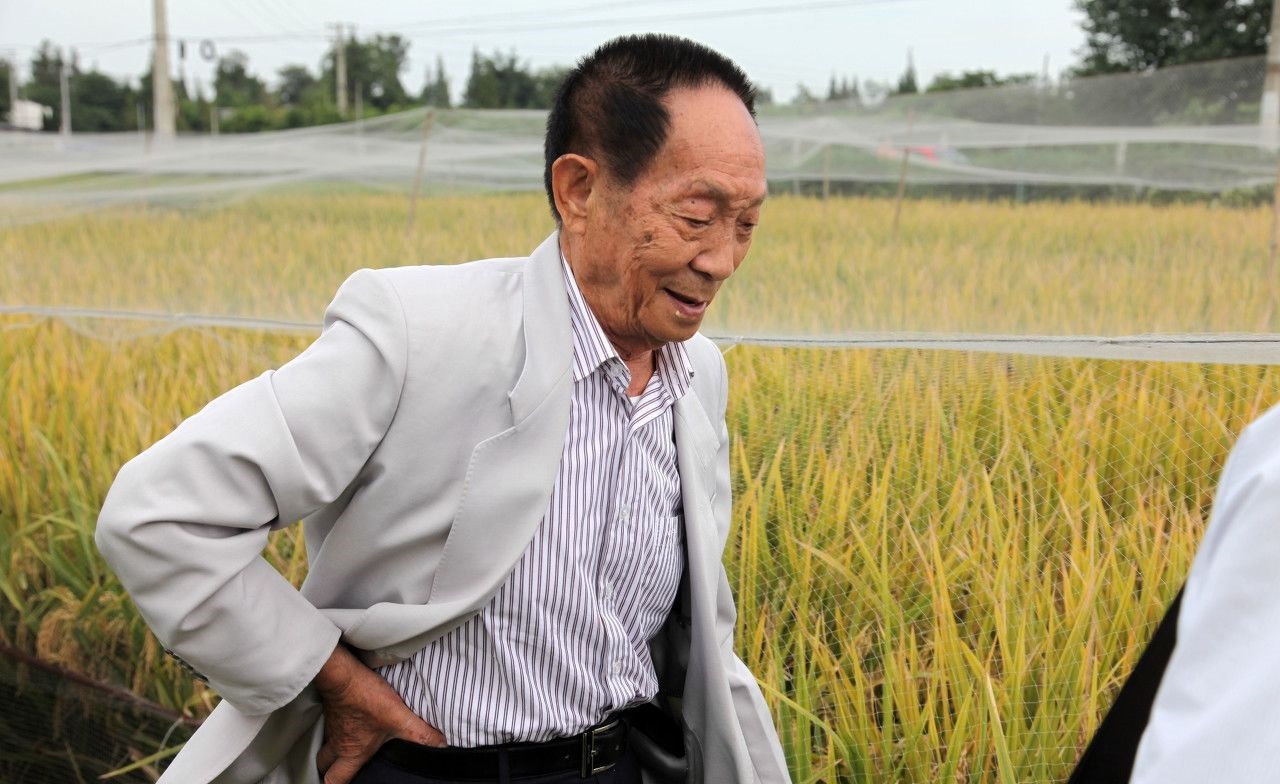 袁隆平去世时间