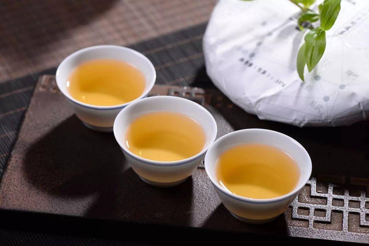 冰岛古树茶多少钱一斤