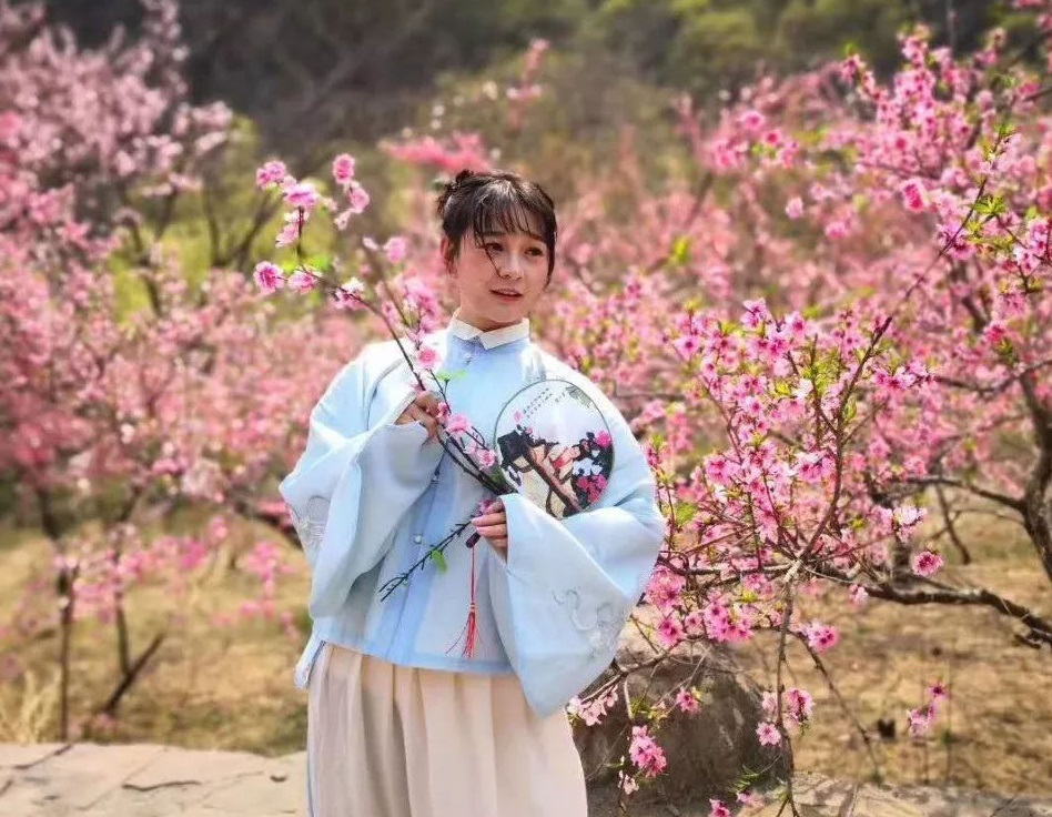 阴桃花是什么意思