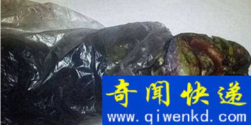 外星人尸体