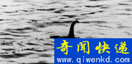 尼斯湖水怪