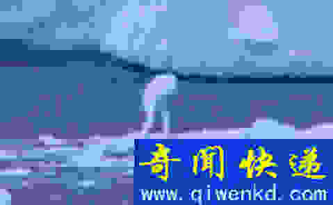 不明生物