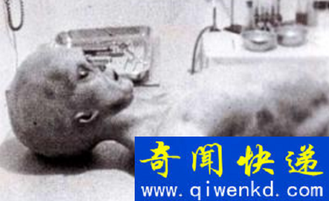 外星人
