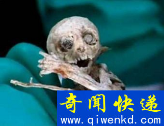 墨西哥外星人