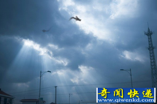 天上坠龙